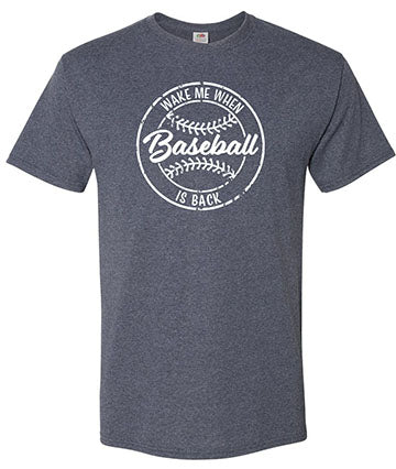 Wake Me When Baseball is Back T-Shirt
