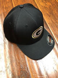 Green Bay Packers Flexfit Hat
